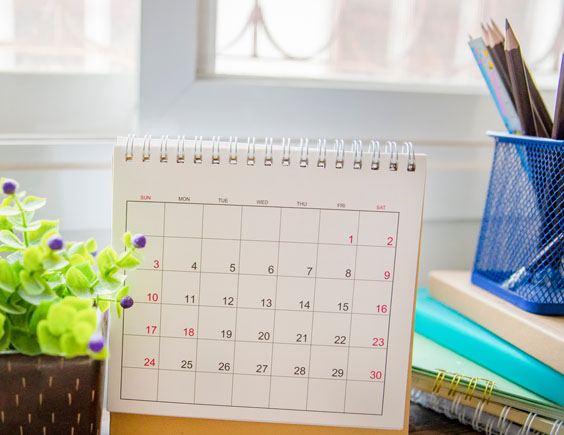 Una planta junto a un calendario